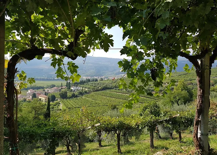 Agriturismo Valentina Cubi Fumane